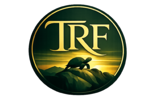 turtle rock logo 3